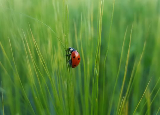 martin-oslic-Qi93Pl5vDRw-unsplash